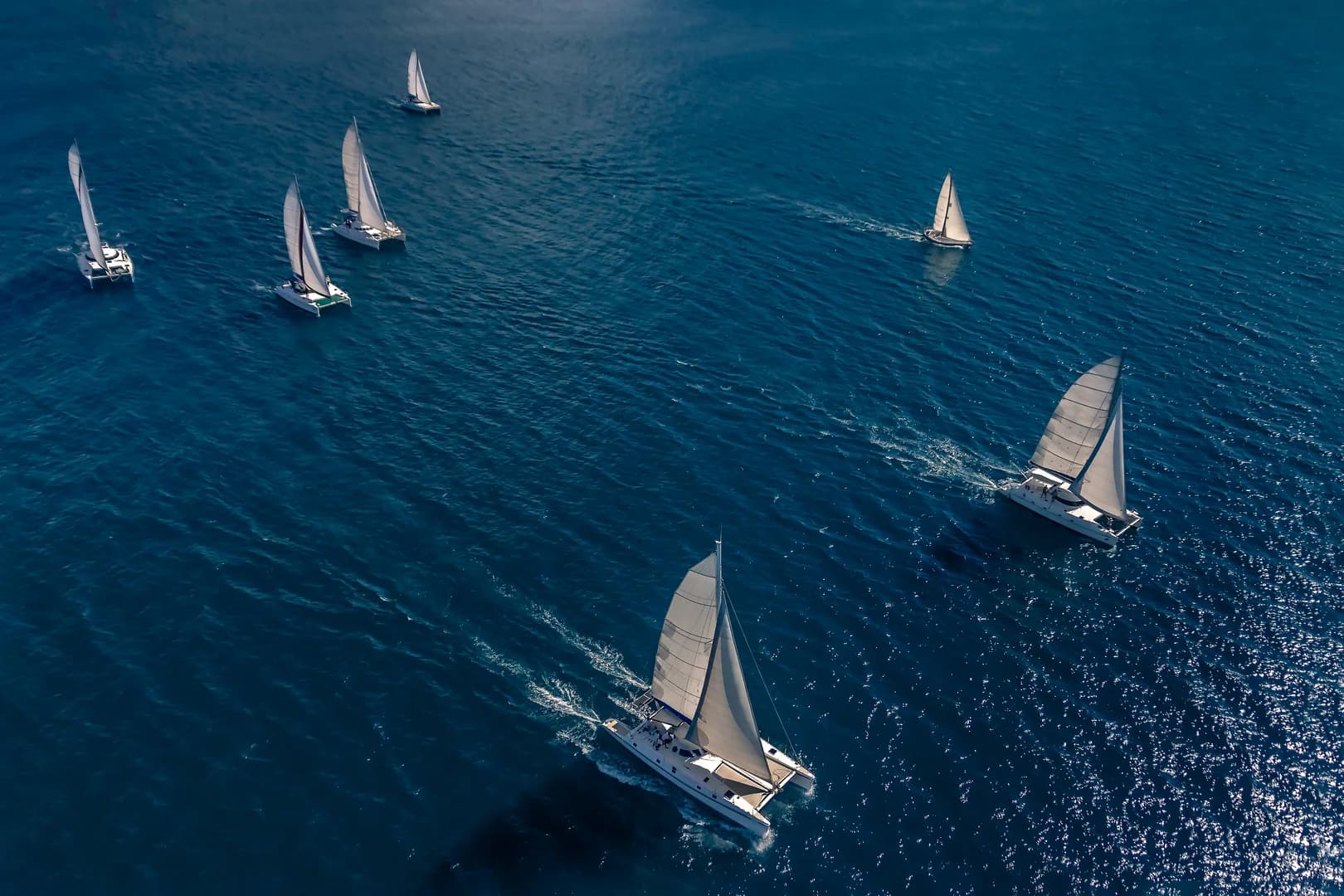 Group of Sailboats shot from Above