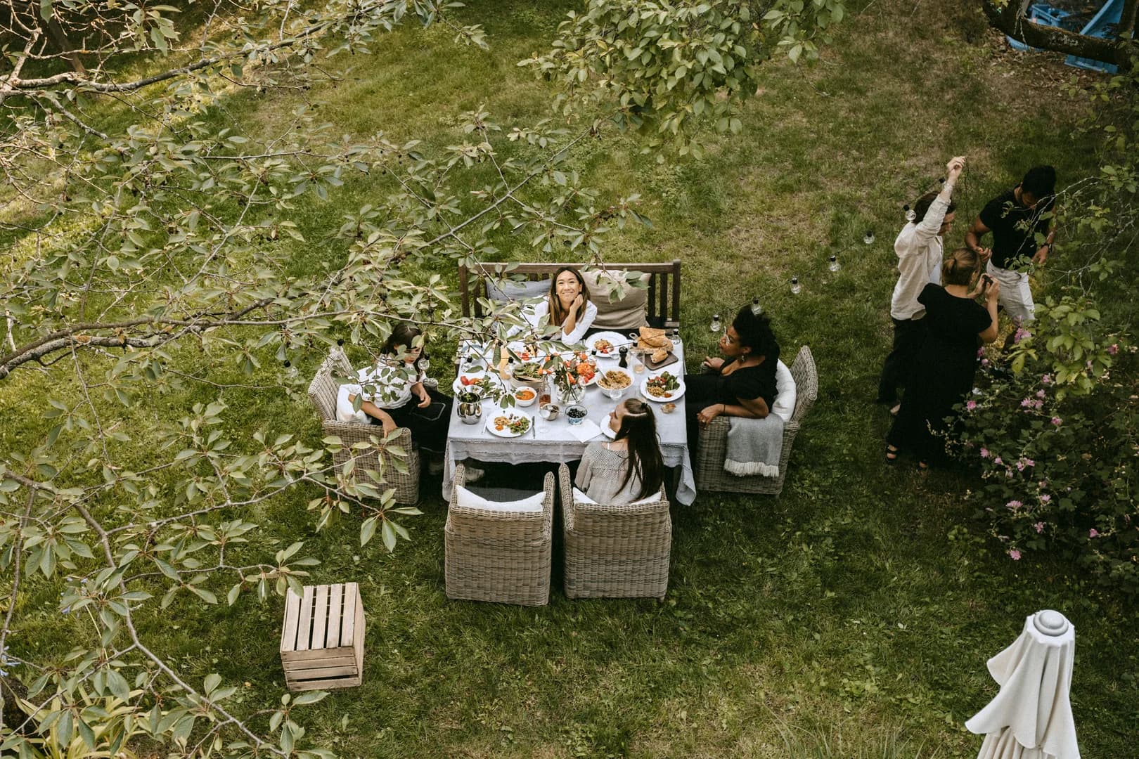 Overhead of backyard dinner party