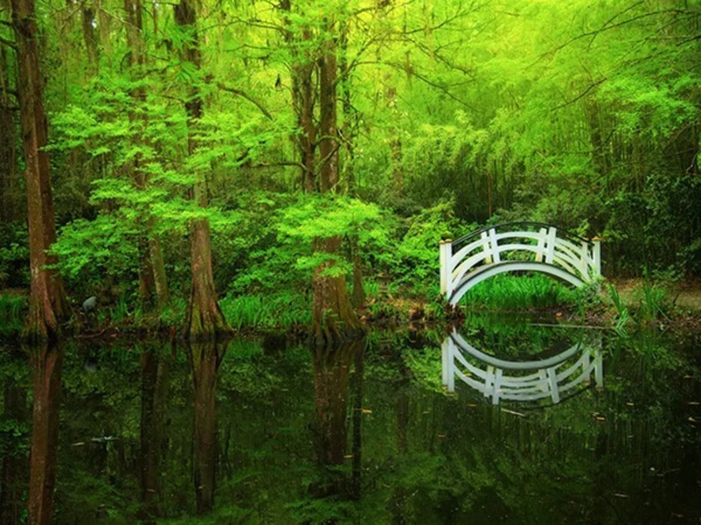 Berkeley County SC Sub Model 3