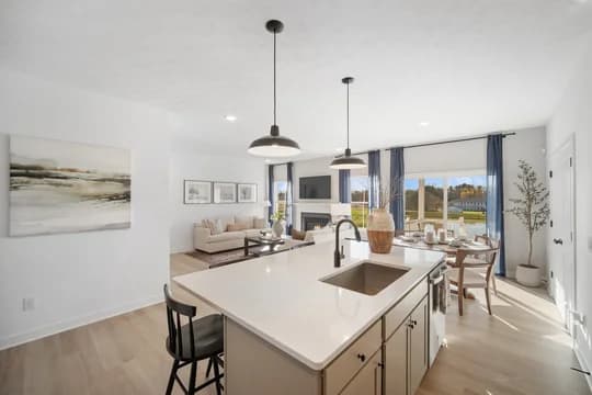 Aspire at Orchard Park Water Lily Kitchen Farmhouse Palette 3 Aspire