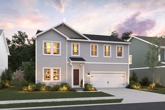 141251 Central Ohio Collection Water Lily Water Lily CA