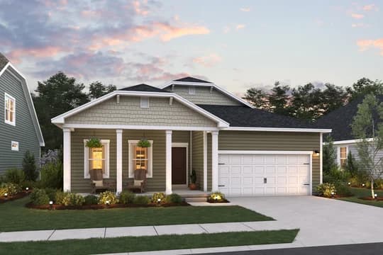 Central Ohio Collection Goldenrod Goldenrod BG