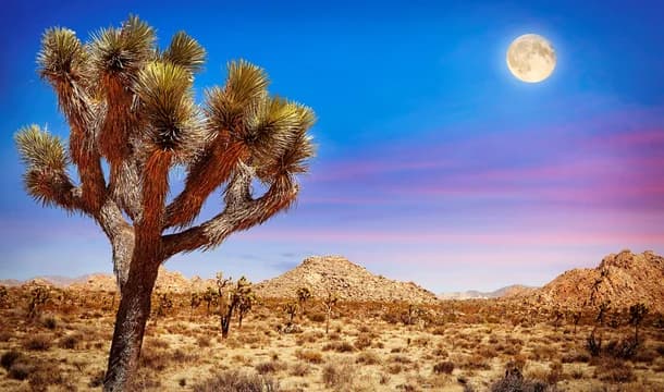 Riverside County CA aspot 1