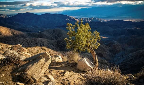 Riverside County CA aspot 5