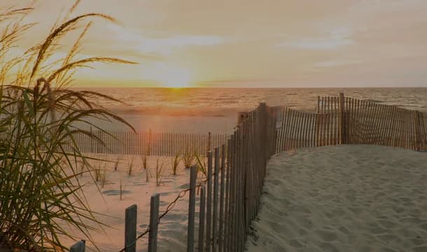 Bethany Beach DE aspot 1