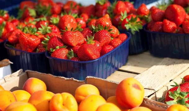 Bethany Beach DE aspot 2