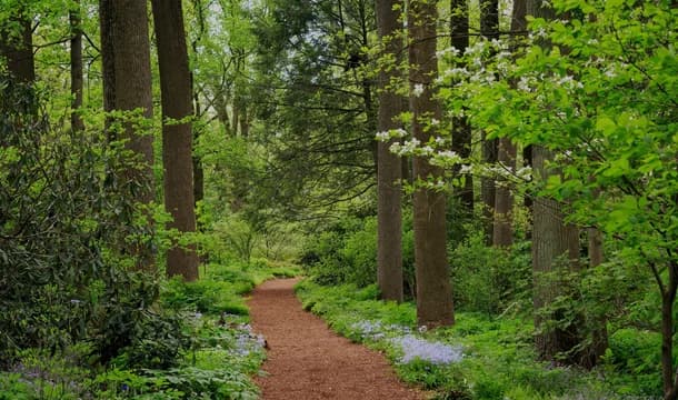 Bethany Beach DE aspot 4