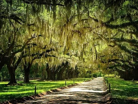 Mt. Pleasant SC Sub Model 1