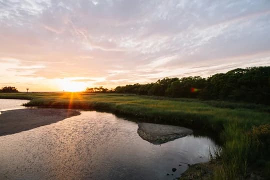 East Coast Water Marsh