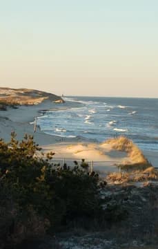 124958 Lewes Beach USP Crop