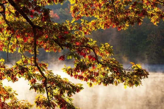 Hero Image East Coast Nature Wildlife Autumn