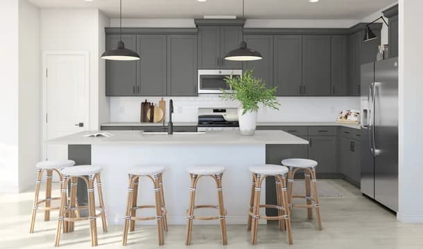 Aspire at Reunion Tigris Kitchen Farmhouse Palette 4 Ascend European Farmhouse