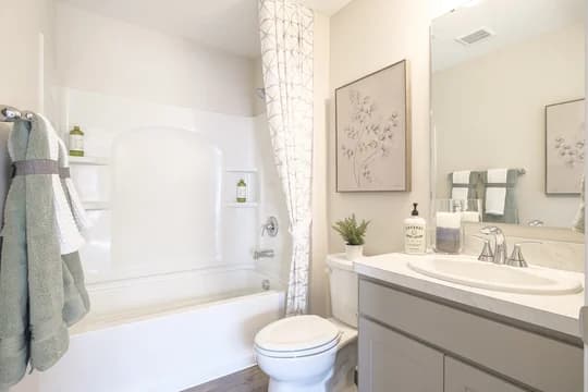 91732 Summit at Forest Lakes Dayton Owner s Bath