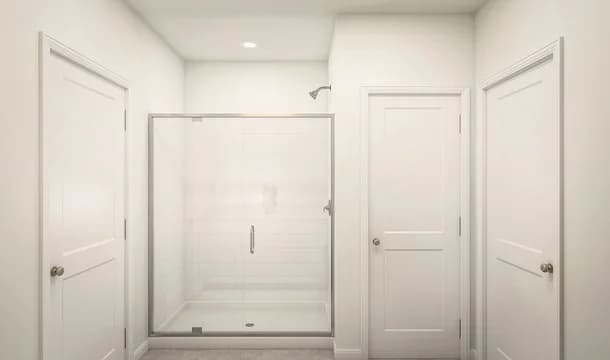 Aspire at Marion Oaks Daffodil IV Owner s Bath Elements Palette 1 Ascend Elements